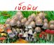 เห็ดพิษ